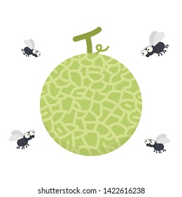 Melon and fly vector. wallpaper. free space for text. copy space. background.