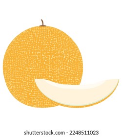 melon food flat icon vector illustration isolated on white background