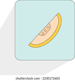 melon fruit, can be used for icon