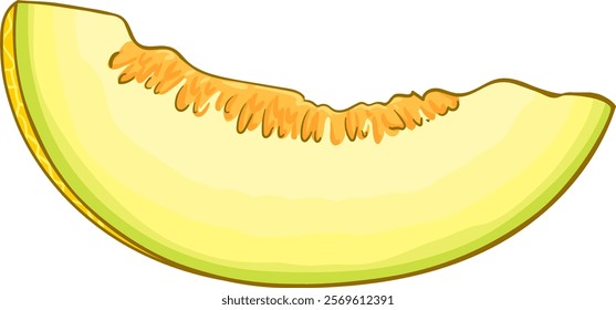 melon fruit colored detailed  illustration