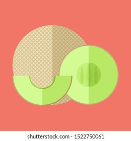 melon fruit in different slice 