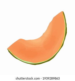 fruto del melón dibujado a mano