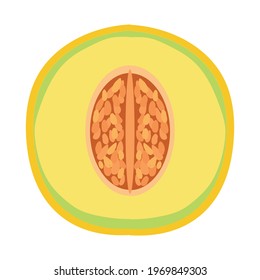 melon fruit, fresh melon slice on white background