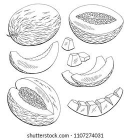 Melon fruit graphic black white isolated set sketch illustration vector