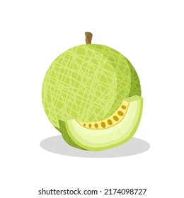 Melon fruit illustration image. Melon fruit icon, fruits