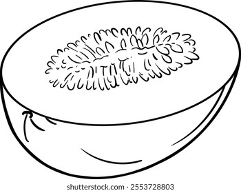 Melon Fruit Isolated Outline Illustration