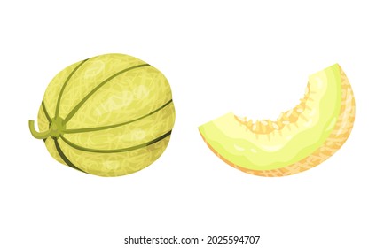 Melon Fruit with Juicy Flesh and Seeds Inside Vector Set