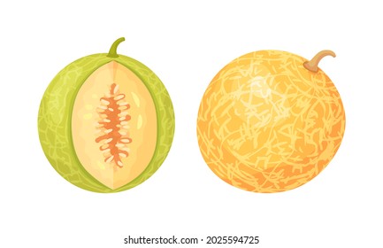 Melon Fruit with Juicy Flesh and Seeds Inside Vector Set