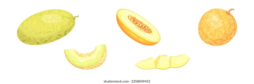 Melon Fruit with Juicy Flesh and Seeds Inside Vector Set