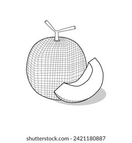 Melon fruit sketch in new style.Melon fruit vector illustration in cartoon style.Fruit element vector design.Unique and simple packaging design.Whole and sliced ​​melons.Sketch for coloring book, logo