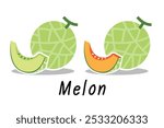 Melon fruit and Melon slice on background. EPS10, Vector icon