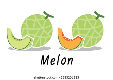 Melon fruit and Melon slice on background. EPS10, Vector icon