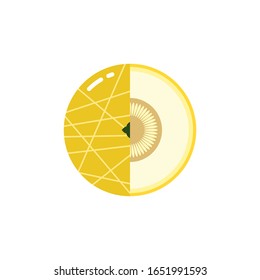 melon fruit sphere with half slice logo, flat icon design template concept isolated on white background