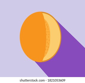 Melon, fruit vector flat style illustration. Vector