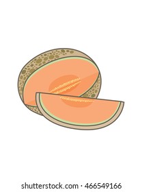 Melon fruit vector isolated on white background