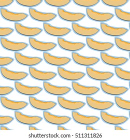 melon fruit vector pattern