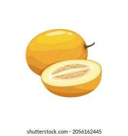 Melon fruit vector, ripe garden plant, organic product whole and half. Juicy natural healthy farm fruit with dry stem and yellow cracked peel. Cartoon design element isolated on white background