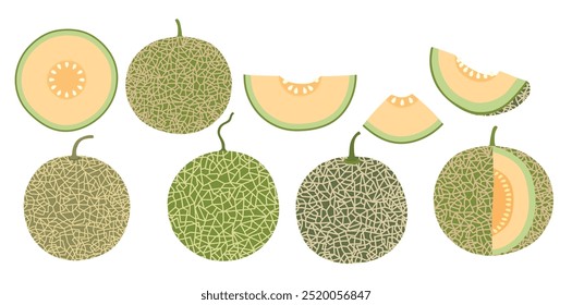 Vetor de frutas de melão definir estilo de desenho animado bonito. isolado no fundo branco.