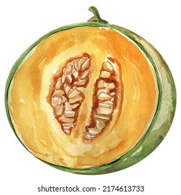 Melone Hälfte mit Samen Vektorimikation Wasserfarbe. Vorlage für die Dekoration von Designs und Illustrationen.