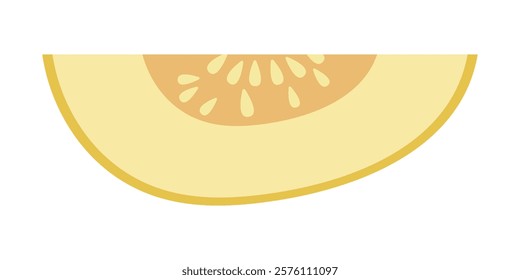 Melon half and slice. Vector illustration cartoon flat icon isolated on white. Melon vitamins icon for your design. Vector illustration, Chamoe melon, or Korean. Cantaloupe, tasty.