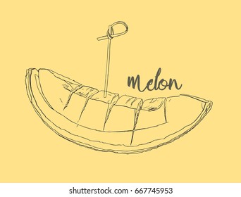 melon in hand drawn design isolated on white background. Isolated on white background. Muskmelon - Galia. Honeydew melon.