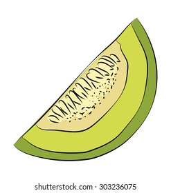 Melon Hand Drawn Vector Icon 