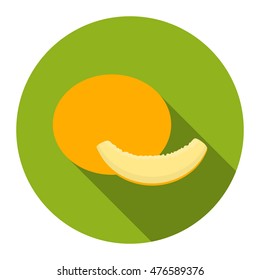 Melon icon cartoon. Single fruit icon.