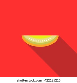 Melon icon, flat style