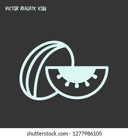 Melon icon line element. Vector illustration of melon icon line isolated on clean background for your web mobile app logo design.