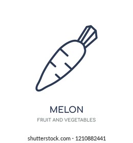 Melon icon. Melon linear symbol design from Fruit and vegetables collection. Simple outline element vector illustration on white background.