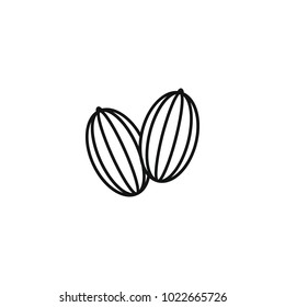 Melon icon in outline style. Vector illustration with melon isolated on white background. Outline fruit object for web