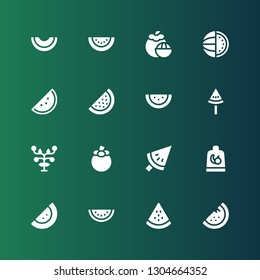 melon icon set. Collection of 16 filled melon icons included Watermelon, Fruit, Mangosteen, Fruits, Melon