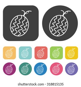 melon icon set. Vector Illustration eps10
