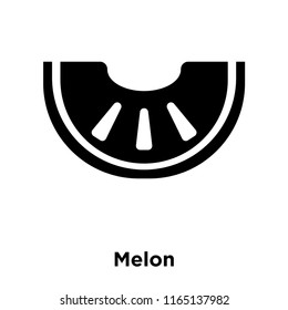 Melon icon vector isolated on white background, Melon transparent sign , food and fruit symbols