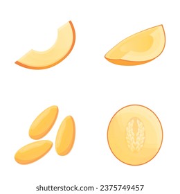 Melon icons set cartoon vector. Fresh ripe melon. Vegetable, healthy nutrition