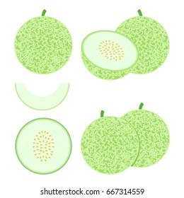 Melon Illustration Fruit Vector Design Stock Image