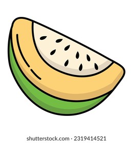 Melon Illustration on white background for your design