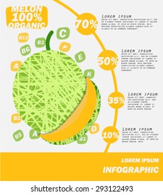 Melon Infographics , Fruit . vector illustration