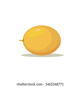 melon isolated on white background. Vector illustration. Eps 10.