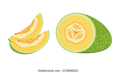 Melon and juicy slices vector set Fresh and juicy fruit concept of summer food isolated on white background.