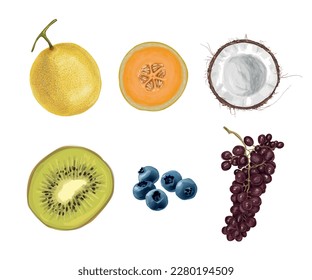 Melon Kiwi Coconut Grape Blueberry fruta tropical a mano sección transversal de color de agua extraída para el diseño de empaquetado de postales
