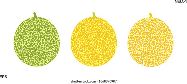 Melon Logo. Einzige Melone auf weißem Hintergrund