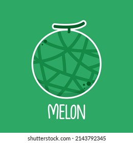 Melon logo vector. melon on green background. Half melon.
