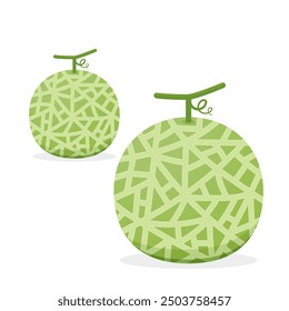 Melon logo vector. melon on white background. Half melon.