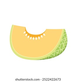 Melon logo vector. melon on white background. Half melon.