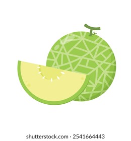Melon logo vector. melon on white background. Half melon.