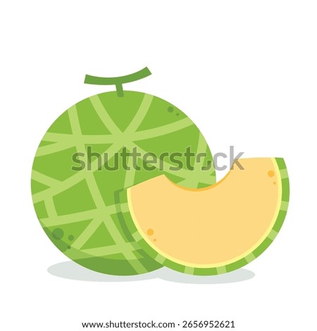 Melon logo vector. melon on white background. Half melon.
