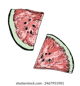 Melon pieces isolated on white. Cozy vintage illustration. Hand drawn vector summer set