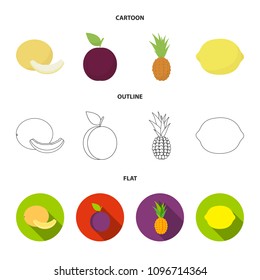 Melon, plum, pineapple, lemon.Fruits set collection icons in cartoon,outline,flat style vector symbol stock illustration web.