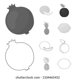 Melon, plum, pineapple, lemon.Fruits set collection icons in outline,monochrome style vector symbol stock illustration web.